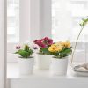 3 Pack of Artificial Spring Bright Colours Potted Plants in White Plastic 6cm Pot Interior Decoration