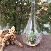 4 Pack of Hanging Clear Glass Tealight Candle Holder Tear Drop Pear Hour Glass Shape – 20cm High Terrarium Plant Mini Garden Holder Decoration Craft Gift