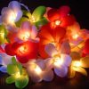 1 Set of 20 LED Tropical Bright Colous Frangipani Flower Battery String Lights Christmas Gift Home Wedding Party Decoration Outdoor Table Centrepiece