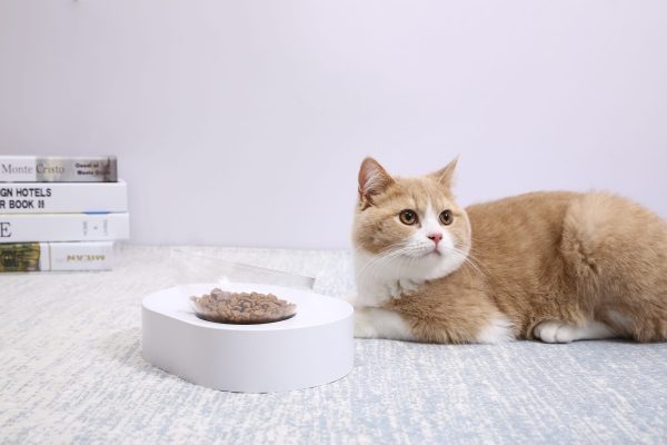 PETKIT Fresh Nano- 15 Adjustable Cat Feeding Bowl – SINGLE