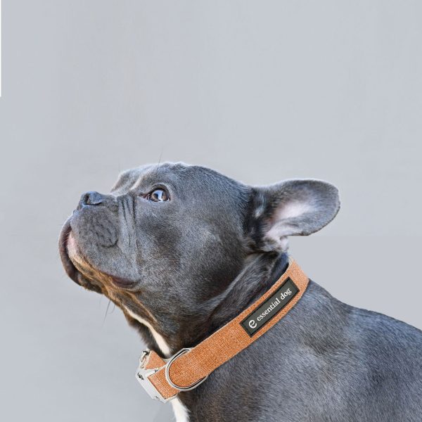 Natural Hemp & Cotton Dog Collar (Orange Burst) – L