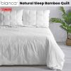 250GSM Natural Sleep Bamboo Summer Quilt Single