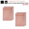 Culinary Terracotta Cotton Set of 4 Jumbo Kitchen Towels 60 x 80 cm