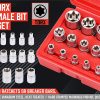 14Pc E Torx Socket Set Female Start Bit External Hex Torque E4-E24 With Case