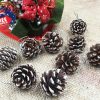 18 Christmas Natural Pine Cones Xmas Tree Hanging Home Decoration Ornament Gifts, 18x Natural w Snow Covered Pinecones