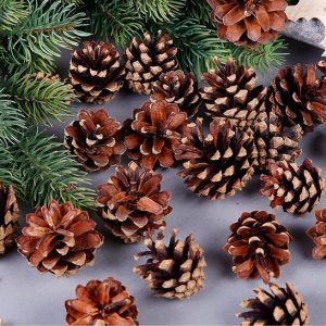 18 Christmas Natural Pine Cones Xmas Tree Hanging Home Decoration Ornament Gifts, 18x Natural Pinecones