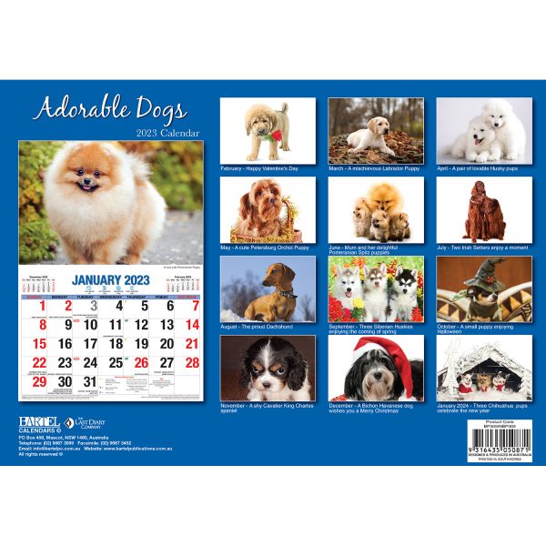 Adorable Dogs â€“ 2023 Rectangle Wall Calendar 16 Months Planner New Year Gift