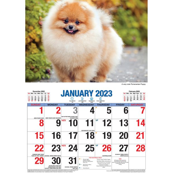 Adorable Dogs â€“ 2023 Rectangle Wall Calendar 16 Months Planner New Year Gift