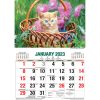 Cute Cats 2023 Rectangle Wall Calendar 16 Months Planner New Year Christmas Gift