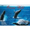 Ocean Wild â€“ 2023 Rectangle Wall Calendar 16 Months Planner New Year Gift