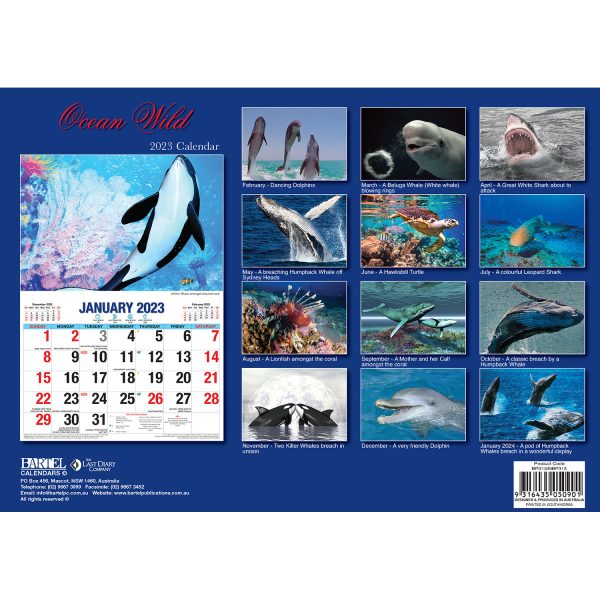 Ocean Wild â€“ 2023 Rectangle Wall Calendar 16 Months Planner New Year Gift