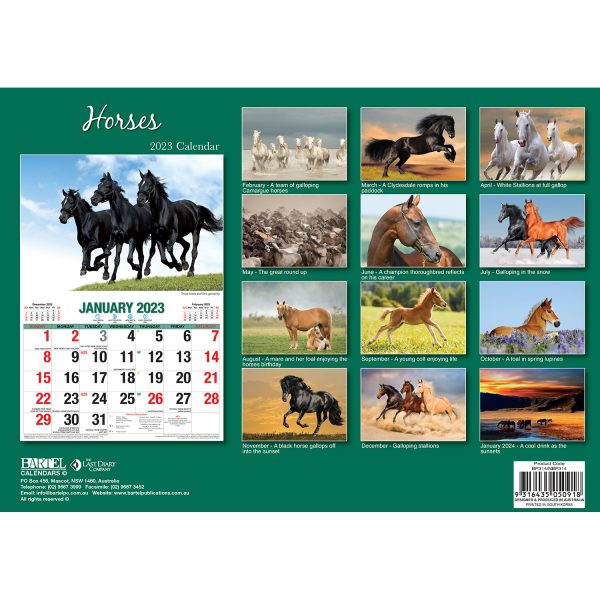 Horses â€“ 2023 Rectangle Wall Calendar 16 Months Planner New Year Christmas Gift