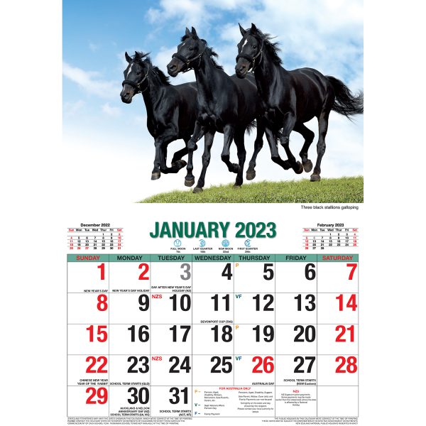 Horses â€“ 2023 Rectangle Wall Calendar 16 Months Planner New Year Christmas Gift