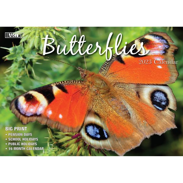 Butterflies â€“ 2023 Rectangle Wall Calendar 16 Months Planner New Year Gift