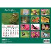 Butterflies â€“ 2023 Rectangle Wall Calendar 16 Months Planner New Year Gift