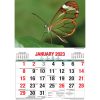 Butterflies â€“ 2023 Rectangle Wall Calendar 16 Months Planner New Year Gift