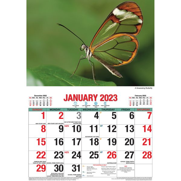 Butterflies â€“ 2023 Rectangle Wall Calendar 16 Months Planner New Year Gift