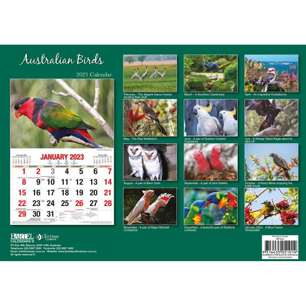 Australian Birds â€“ 2023 Rectangle Wall Calendar 16 Months Planner New Year Gift