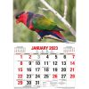 Australian Birds â€“ 2023 Rectangle Wall Calendar 16 Months Planner New Year Gift