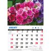 Beautiful Flowers – 2024 Rectangle Wall Calendar 16 Months Floral Art Home Decor