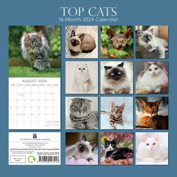 Top Cats – 2024 Square Wall Calendar Pets Animals 16 Months Premium Planner Gift