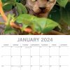 Top Cats – 2024 Square Wall Calendar Pets Animals 16 Months Premium Planner Gift