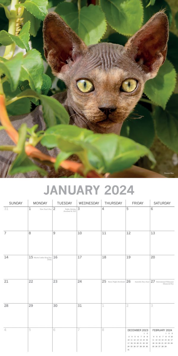 Top Cats – 2024 Square Wall Calendar Pets Animals 16 Months Premium Planner Gift