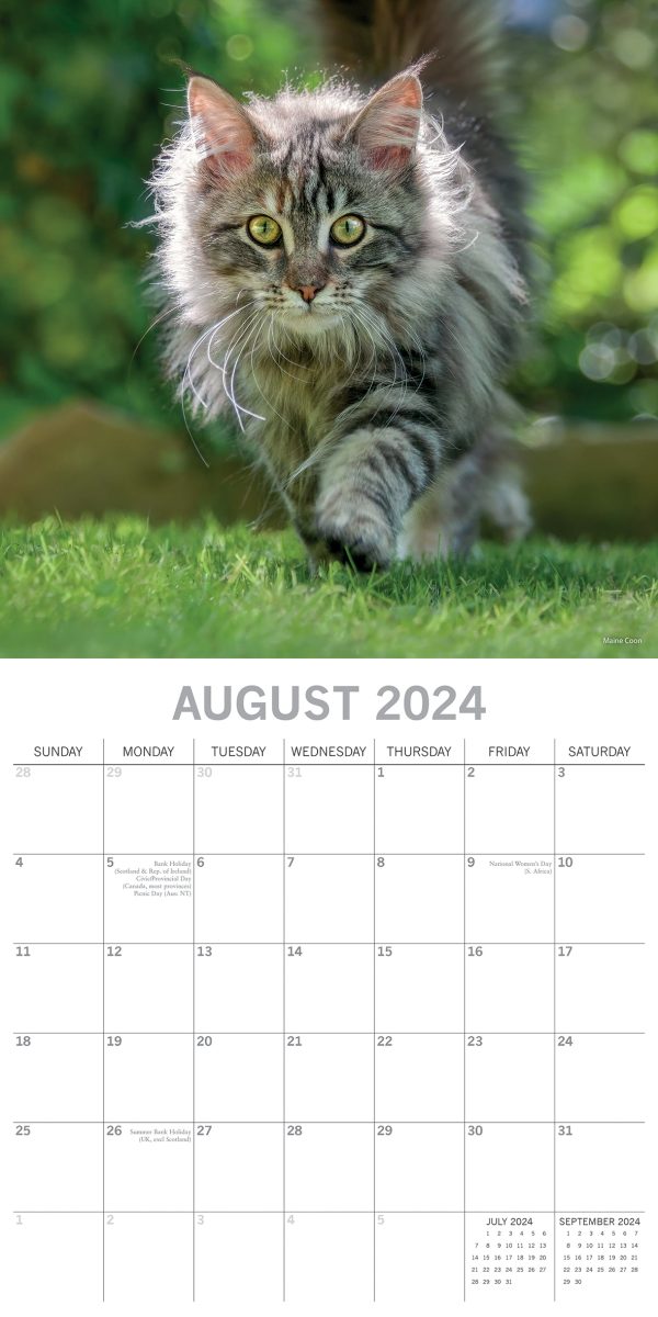 Top Cats – 2024 Square Wall Calendar Pets Animals 16 Months Premium Planner Gift