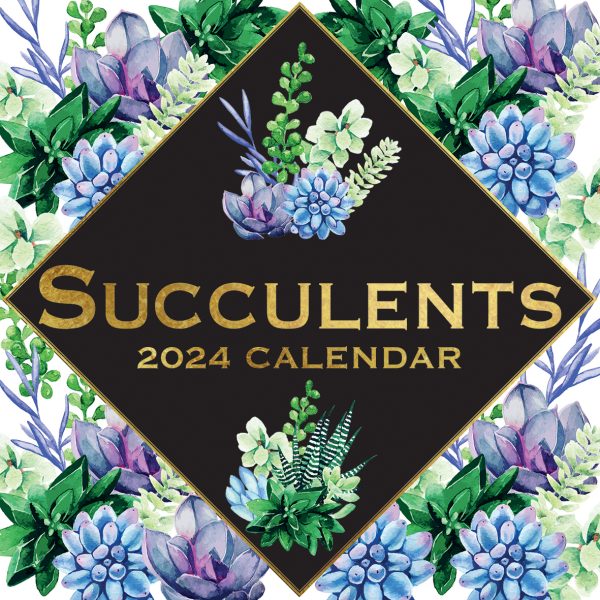 Succulents – 2024 Square Wall Calendar 16 Months Arts Planner Xmas New Year Gift