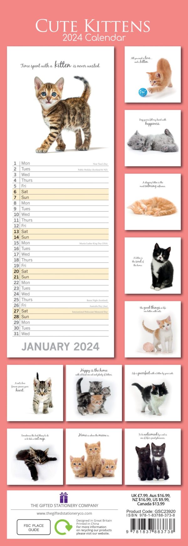 Cute Kittens – 2024 Slimline Slim Wall Calendar Hanging Planner New Year Gift