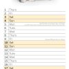 Cute Kittens – 2024 Slimline Slim Wall Calendar Hanging Planner New Year Gift