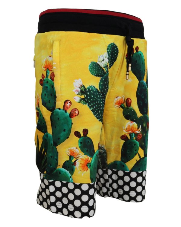 Authentic Dolce & Gabbana Multicolor Cactus Print Sweat Shorts Men – 44 IT