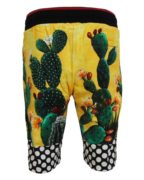 Authentic Dolce & Gabbana Multicolor Cactus Print Sweat Shorts Men – 44 IT