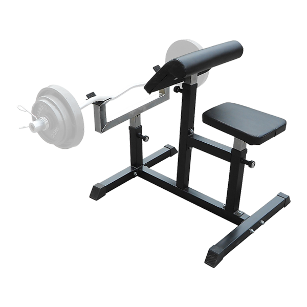 Preacher Curl Bench Weights Commercial Bicep Arms