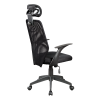 Ergonomic Mesh Office Chair