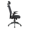 Ergonomic Mesh Office Chair