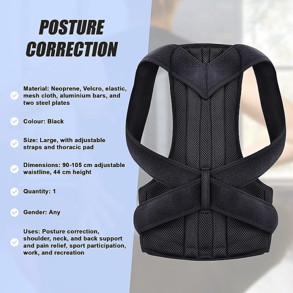 Lower Back Brace Unisex Posture Corrector Lumbar Support – Large