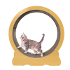 Cat Running Wheel w/ Carpet Runway Cat Exercise Wheel for Fitness Cat Treadmill