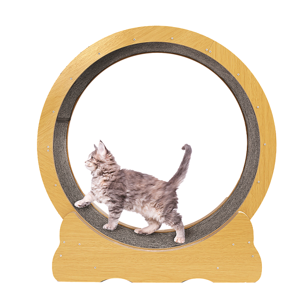 Cat Running Wheel w/ Carpet Runway Cat Exercise Wheel for Fitness Cat Treadmill