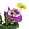 Mixed Flowering Potted Artificial Pansy Plants 25cm – Green and Purple and Yellow