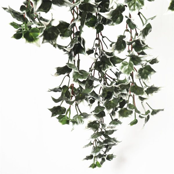 Mixed Green and White Tipped Ivy Bush 80cm UV Resistant