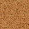 Doormats 2 pcs Coir 24 mm 40×60 cm Natural