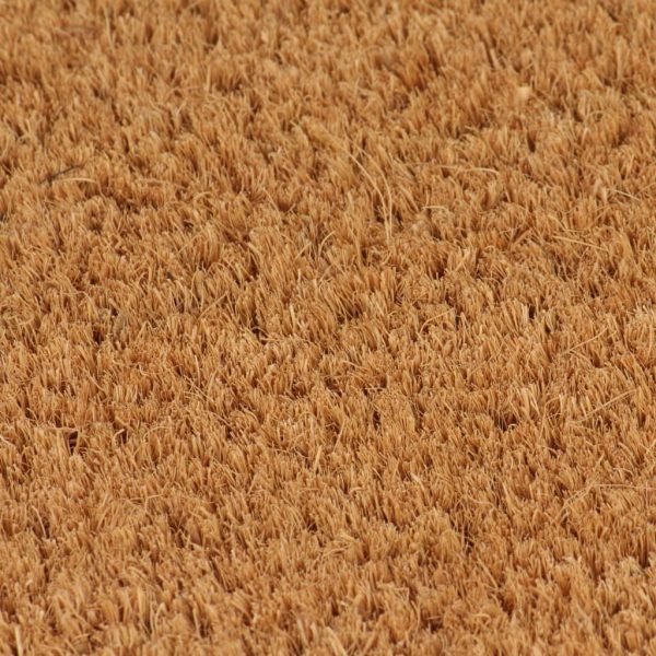 Doormats 2 pcs Coir 24 mm 40×60 cm Natural