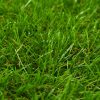 Artificial Grass 40 mm Green – 1×10 m