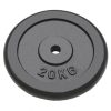 Weight Plates 2 pcs 2×20 kg Cast Iron