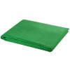 Backdrop Cotton Chroma Key – 300×300 cm, Green