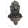 Wall Fountain Lion Head Design Bronze