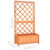 Garden Trellis Planter 70x30x135 cm Solid Firwood – Brown