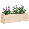 Garden Planter 100x31x31 cm Solid Pinewood – Brown, 1