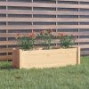 Garden Planter 100x31x31 cm Solid Pinewood – Brown, 1